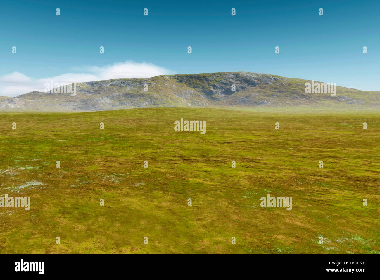 Grünland mit Hill, virtuelle Landschaft, Computer Grafik Stockfoto