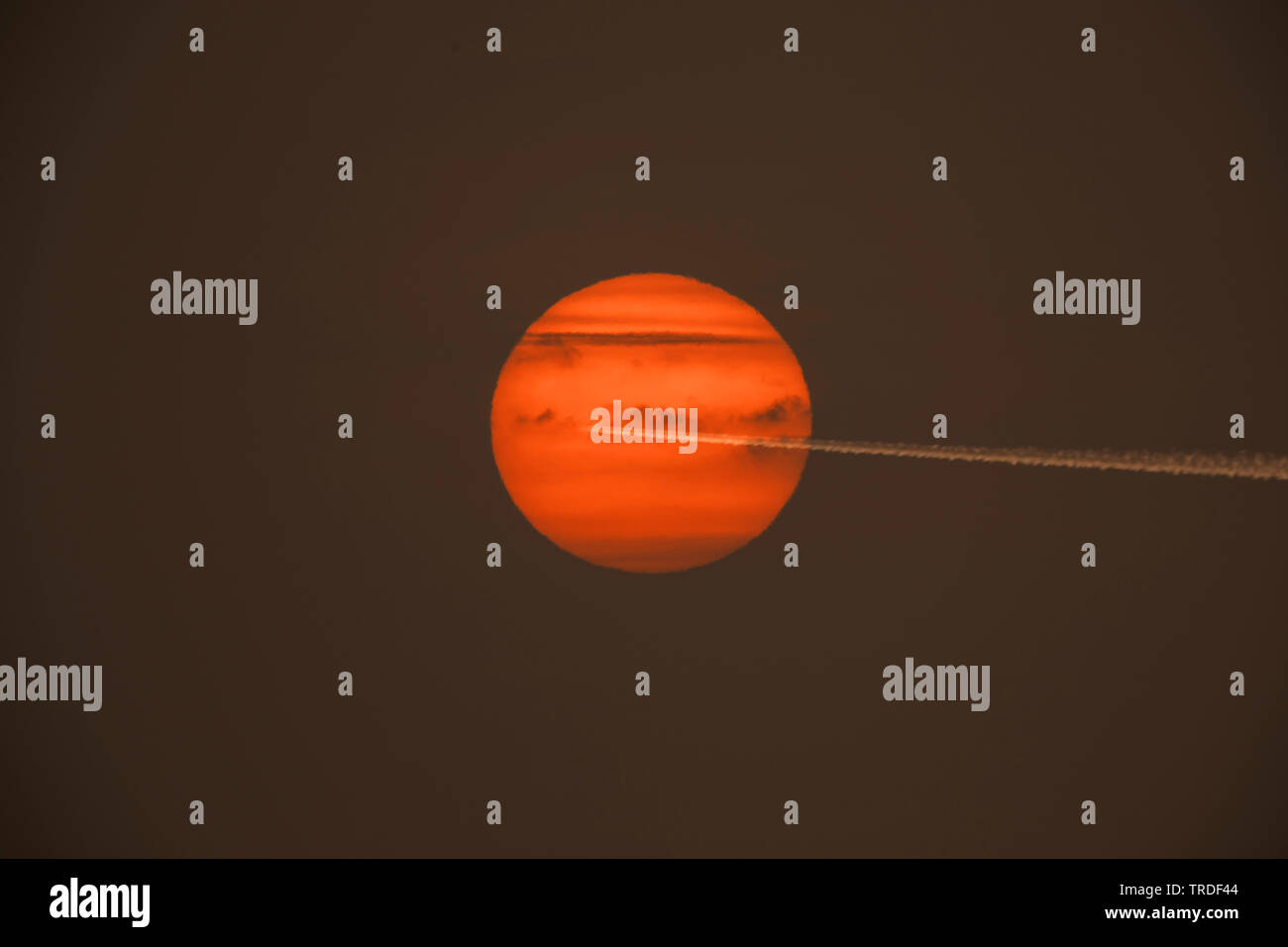 Flugzeug mit Kondensstreifen fliegen vor der Roten Morgensonne, Deutschland, Bayern Stockfoto