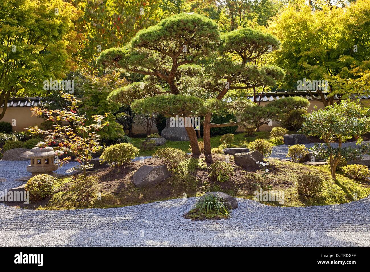 Zengarten Deutschland Stockfotos und bilder Kaufen Alamy
