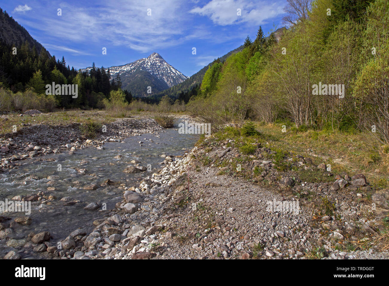 Blick von Lindergries zu Frieder Berg, Deutschland, Bayern, Ammergauer Stockfoto
