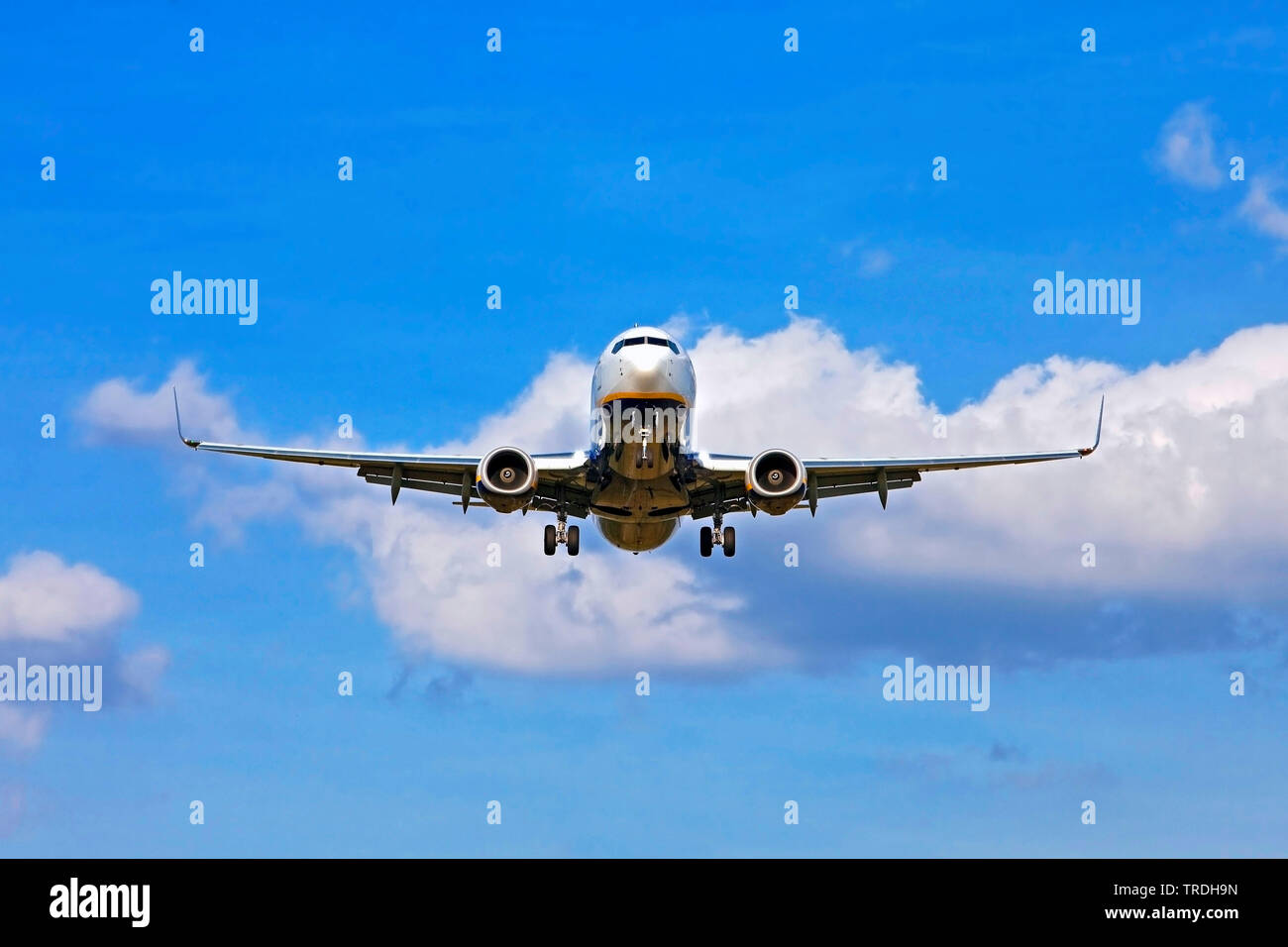 Flugzeug Landeanflug auf den Flughafen Köln/Bonn, Deutschland, Nordrhein-Westfalen Stockfoto