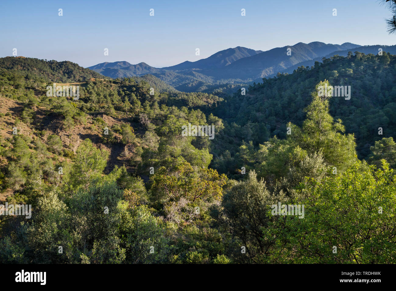 Cedar Valley, Berglandschaft auf Zypern, Zypern, Cedar Valley Stockfoto