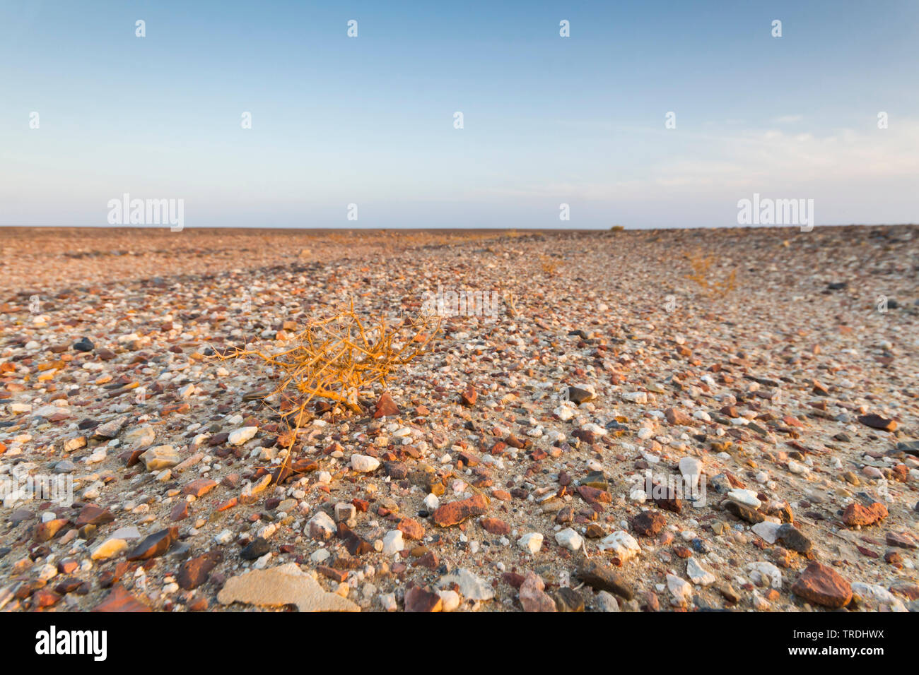 Zentrale Wüste von Oman, Oman Stockfoto