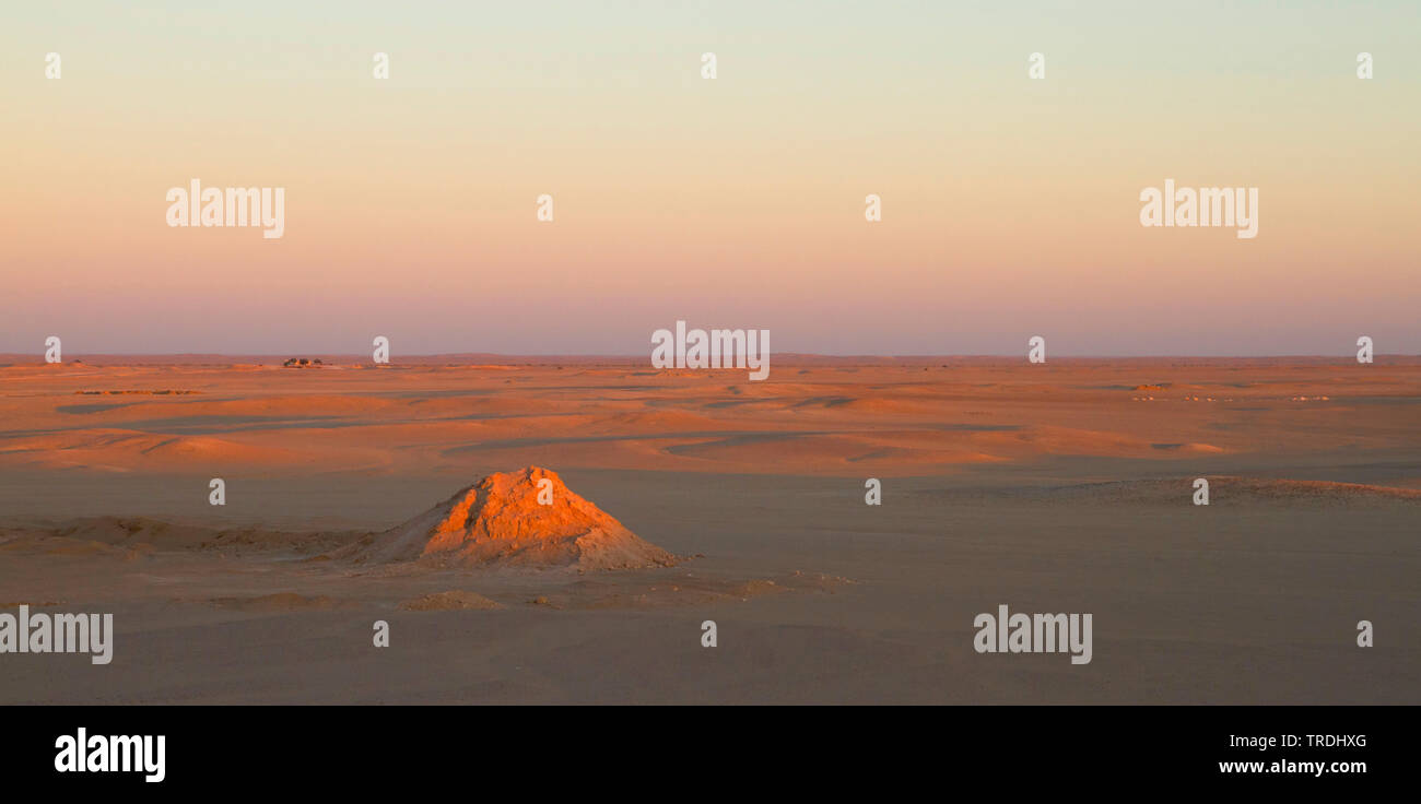Oase in der Wüste von Oman im Abendlicht, Oman Stockfoto