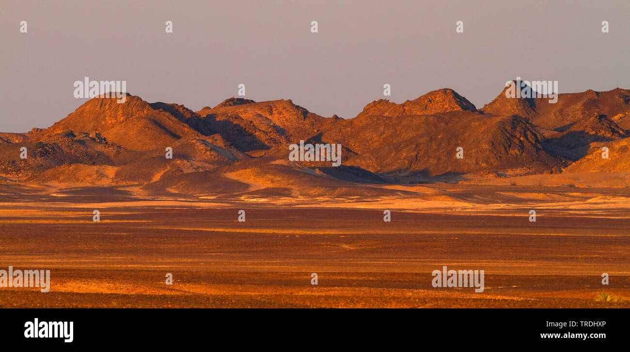 Zentrale Wüste von Oman, Oman Stockfoto