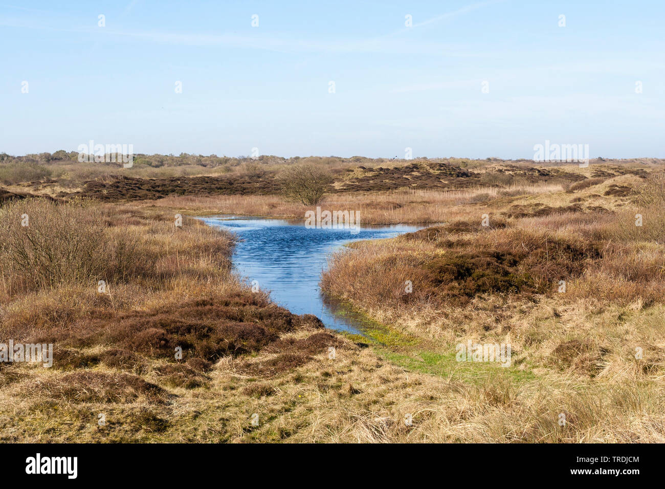 See im Frühjahr auf Texel, Niederlande, Texel Stockfoto