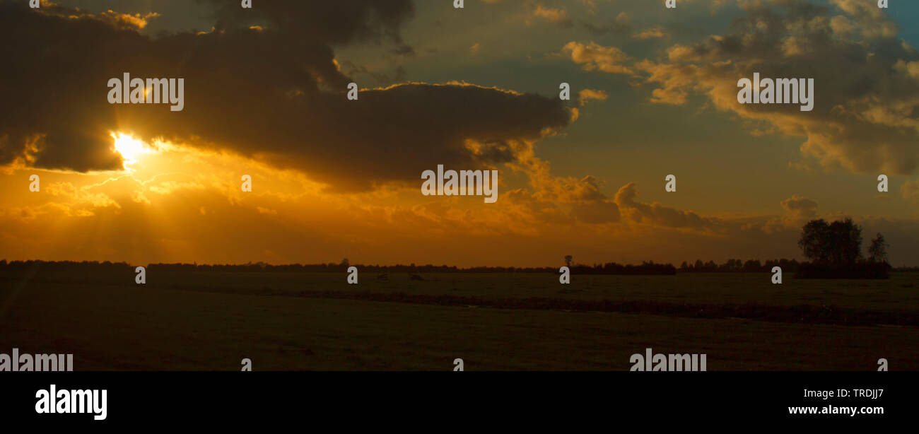 Horizont mit Sonne, Niederlande, Utrecht, Kockengen Stockfoto