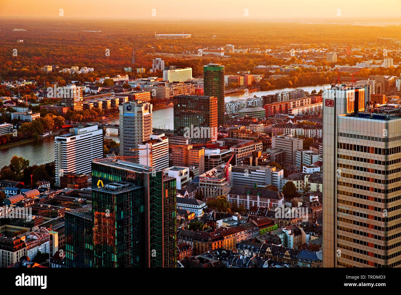 Blick vom Maintower auf die Stadt bei Sonnenuntergang, Deutschland, Hessen, Frankfurt am Main Stockfoto