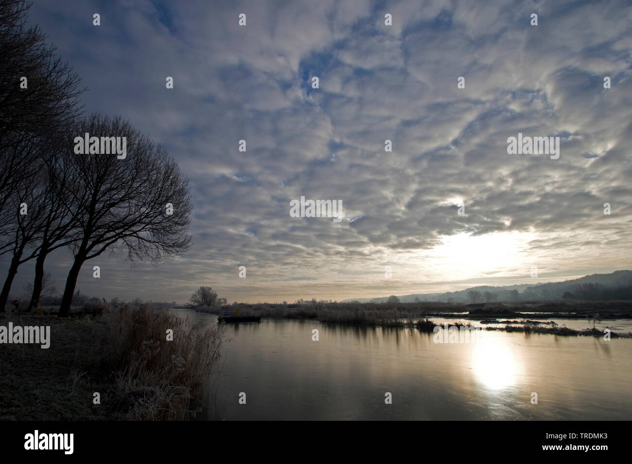 Ooijpolder auf kalten Tag im Abendlicht, Niederlande, Gelderland Stockfoto