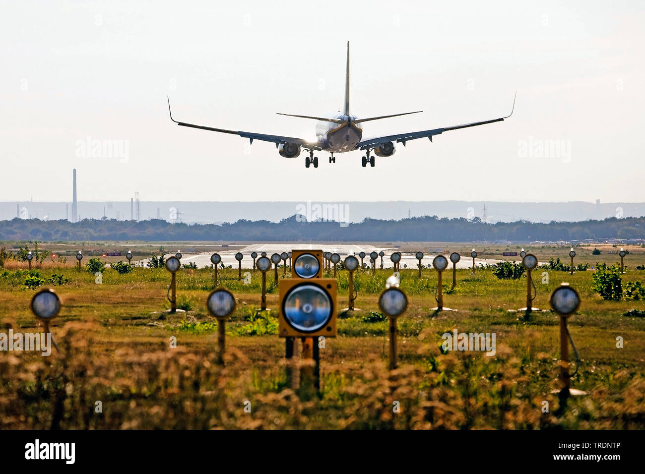 Flugzeug Landung auf einer Start- und Landebahn der Flughafen Köln/Bonn, Deutschland, Nordrhein-Westfalen, Köln Stockfoto