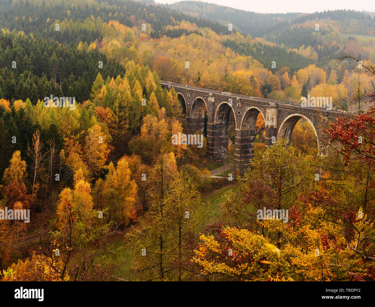 Hetzdorfer Viadukt im Herbst, Deutschland, Sachsen, Erzgebirge Stockfoto