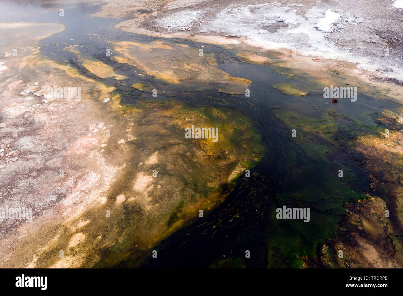 Heißer Frühling im Winter, USA, Wyoming, Yellowstone National Park Stockfoto
