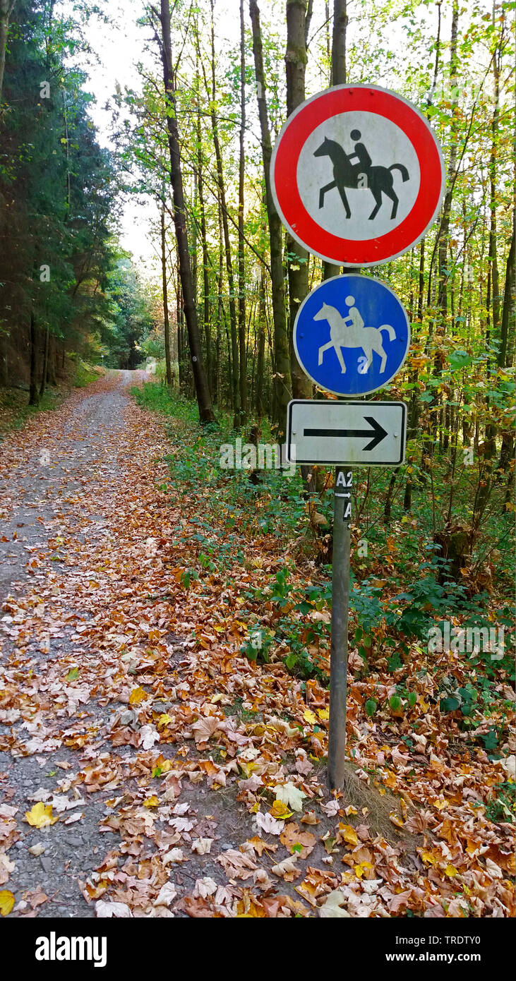 Reitweg im Wald, Deutschland Stockfoto