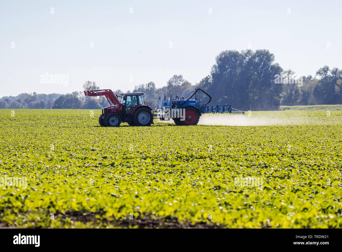 Anwendung von pesticids, Deutschland, Bayern Stockfoto