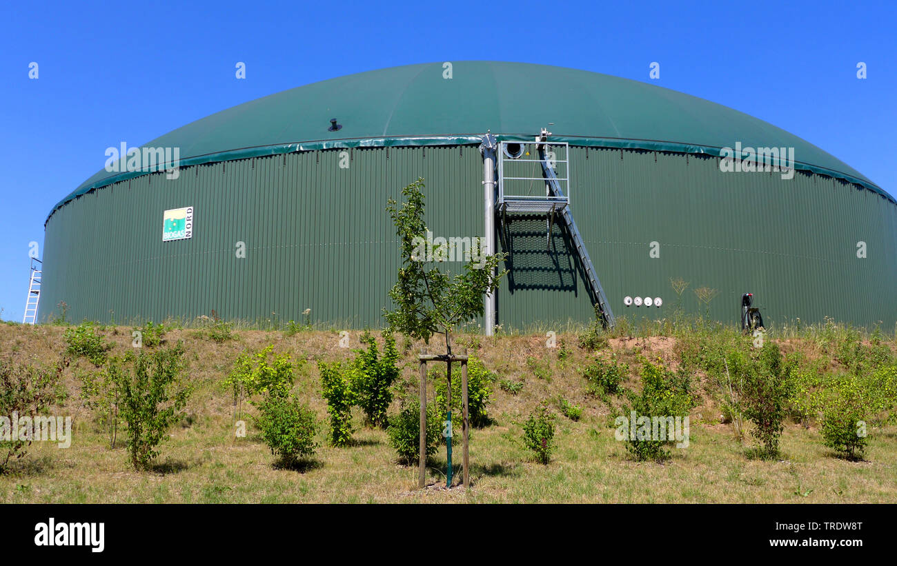 Biogasanlage, Deutschland Stockfoto