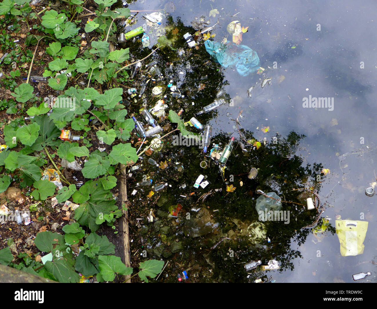 Wasserverschmutzung mit Müll, Deutschland Stockfoto