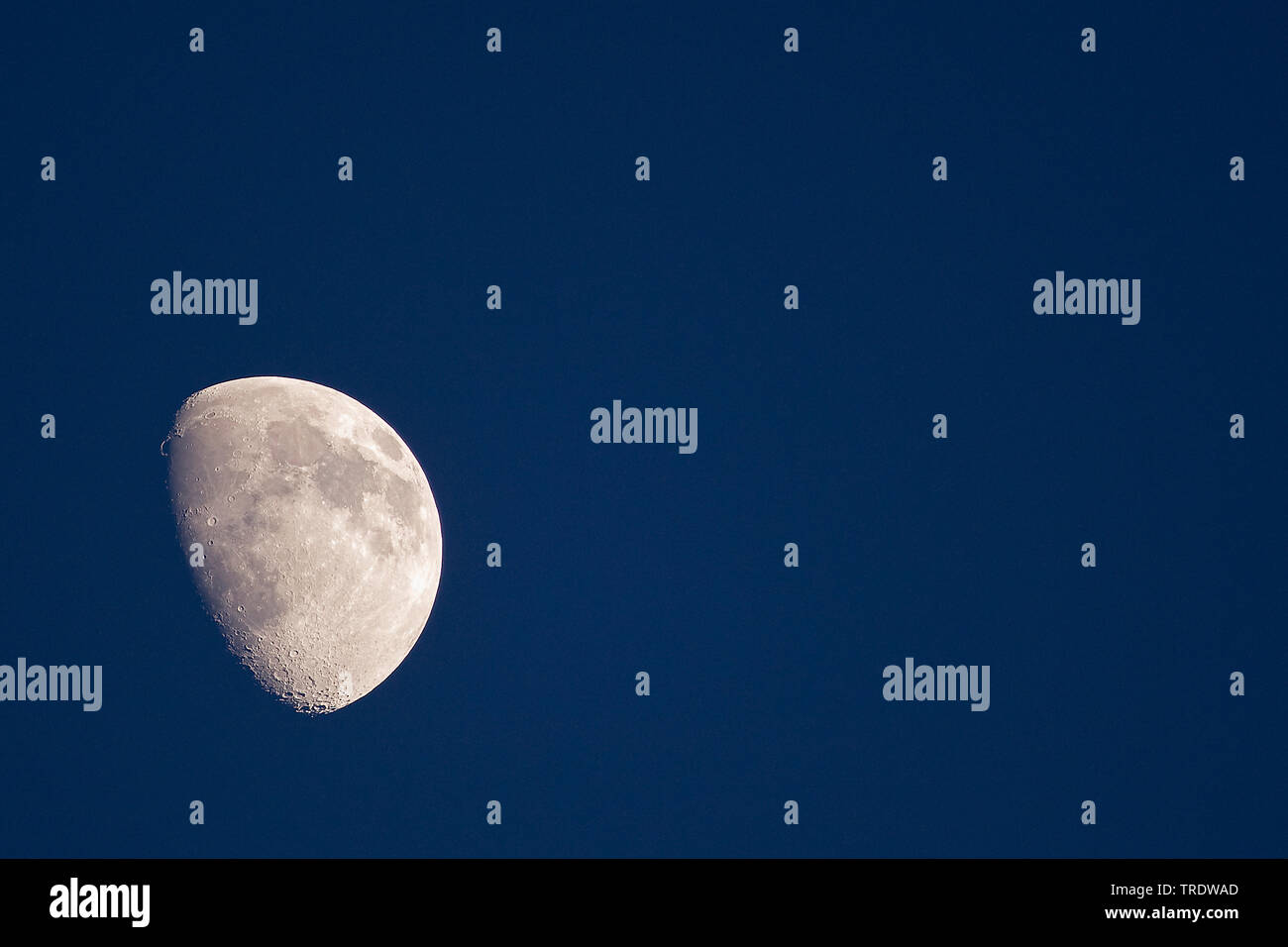 Mond in der ersten Waxing Gibbous, Niederlande Stockfoto