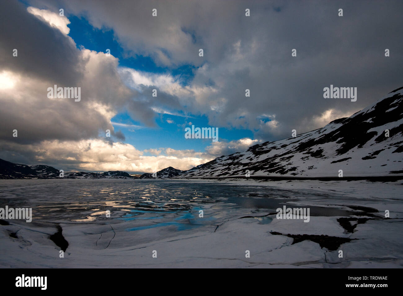 Strand auf den Lofoten Inseln, Norwegen, Lofoten Stockfoto