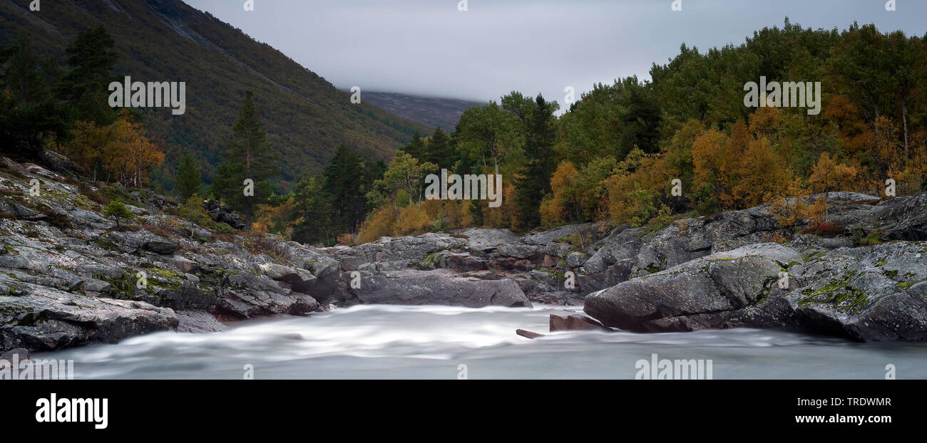 Fluss am Dovrefjell, Norwegen, Dovrefjell Nationalpark Sunndalsfjella Stockfoto