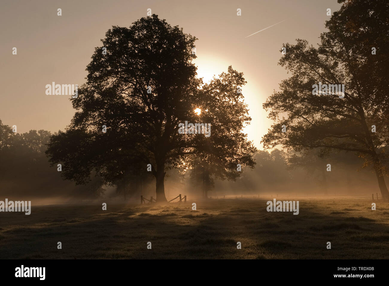 Landgoed Twickel bei Dämmerung, Niederlande, Overijssel, Landgoed Twickel, Delden. Stockfoto