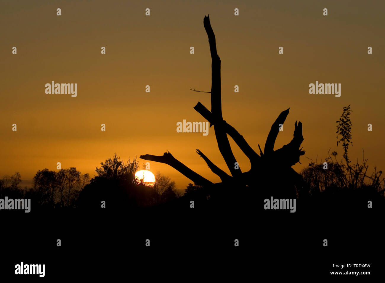 Nightfall an Odradelta, Polen Stockfoto