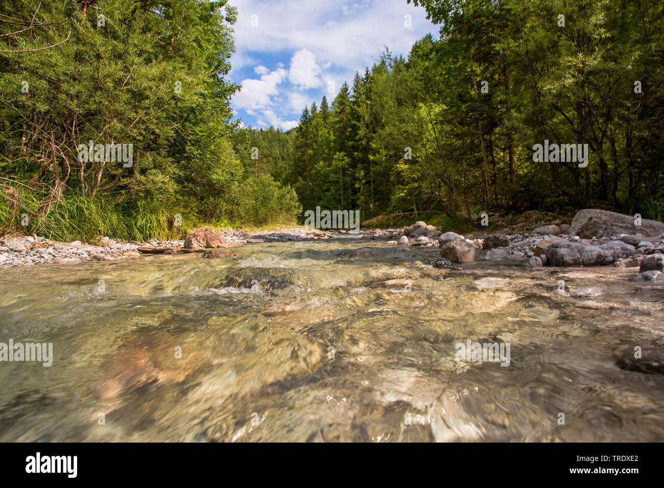 Mountain Creek mit klarem Wasser, Österreich, Tirol Stockfoto