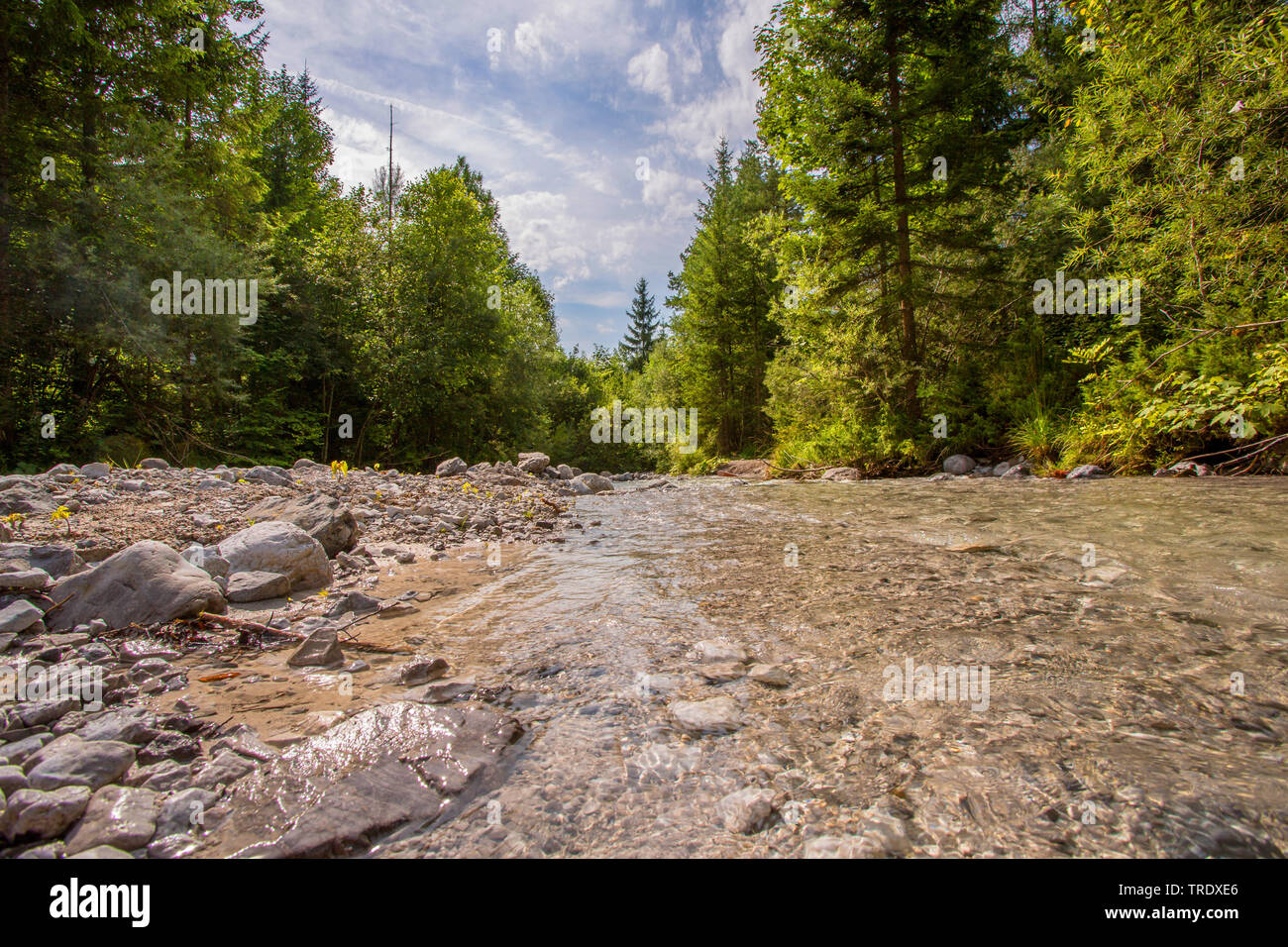 Mountain Creek mit klarem Wasser, Österreich, Tirol Stockfoto