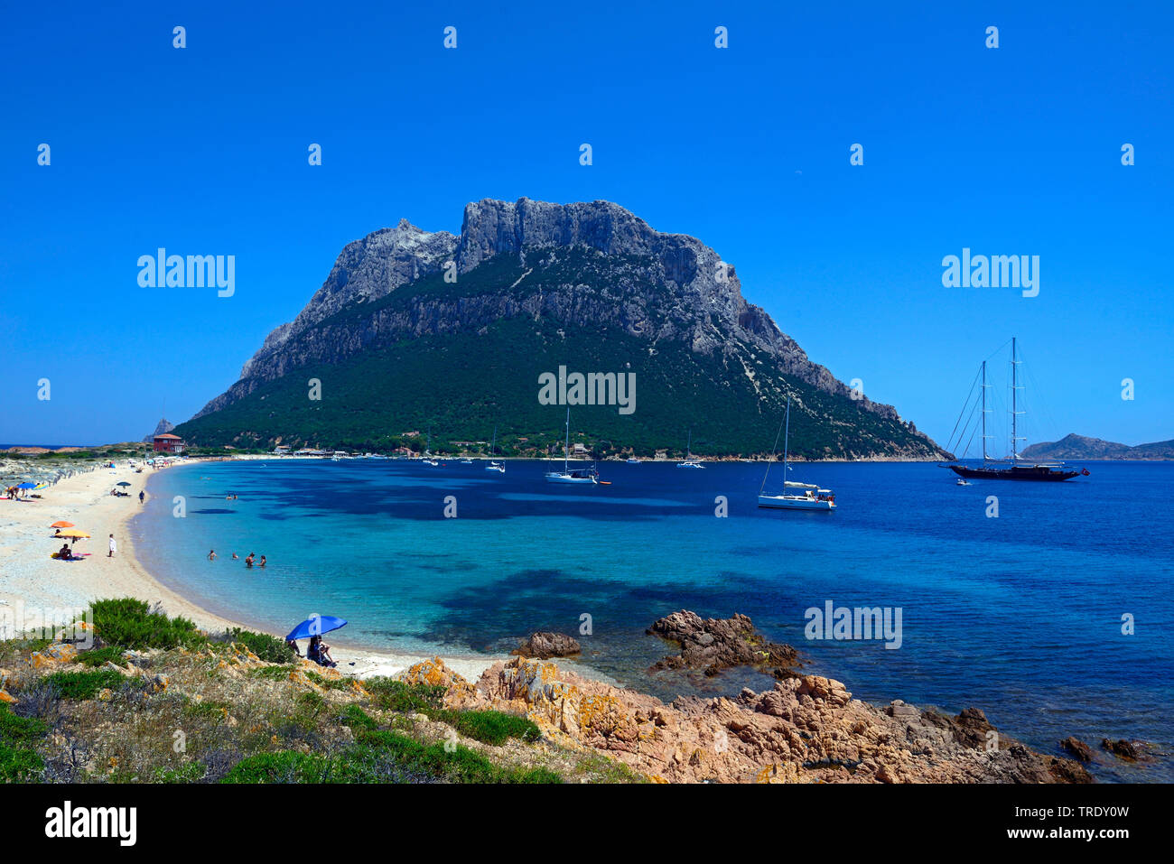 Blick auf die Insel Tavolara, Italien, Sardinien, Tavolara, Olbia Stockfoto