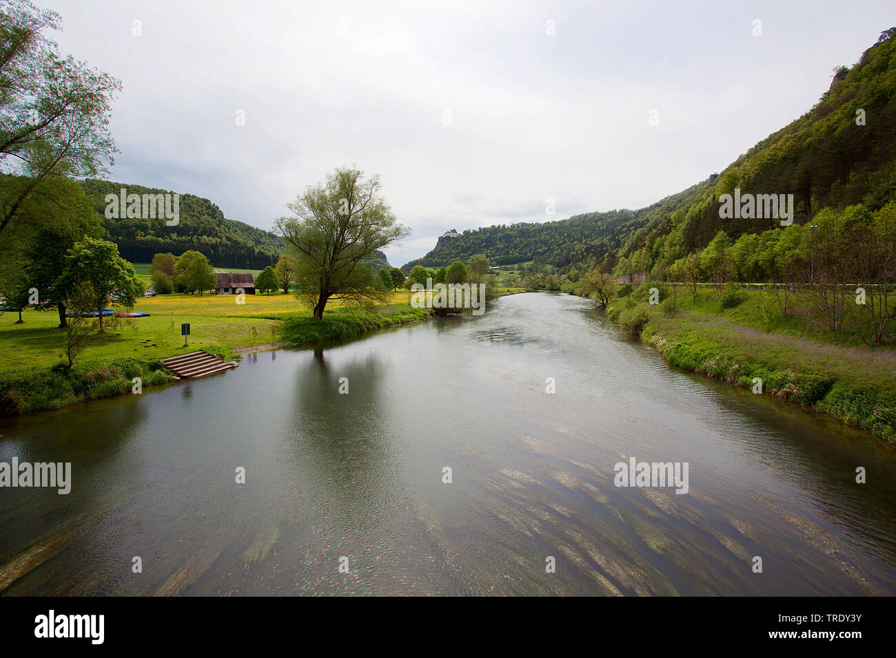 Donautal im Frühjahr, Deutschland, Bayern, Naturpark Obere Donau, Beuron Stockfoto