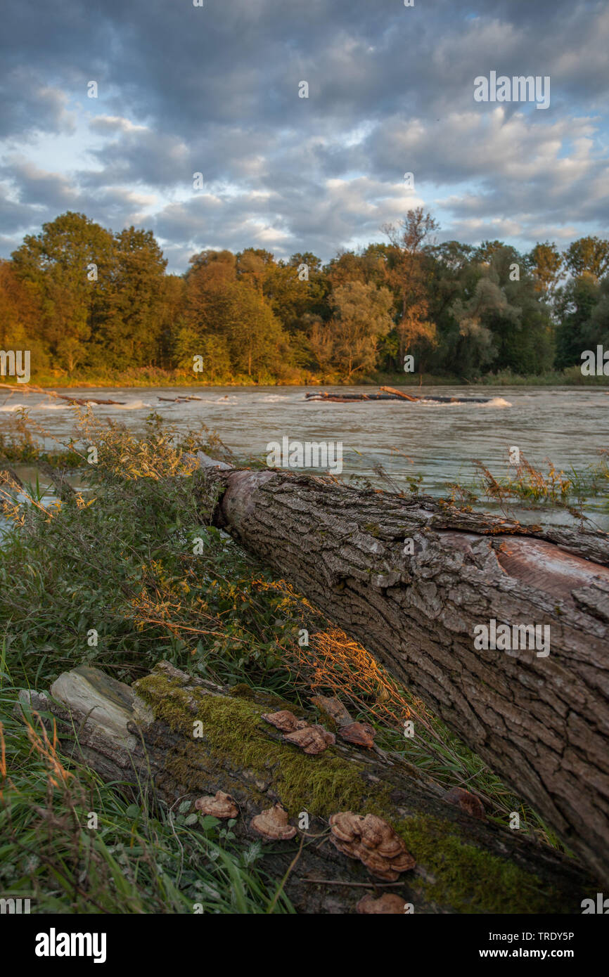 Hangenham Fotos und Bildmaterial in hoher Auflösung Alamy Hangenham Fotos und Bildmaterial in hoher Auflösung Alamy