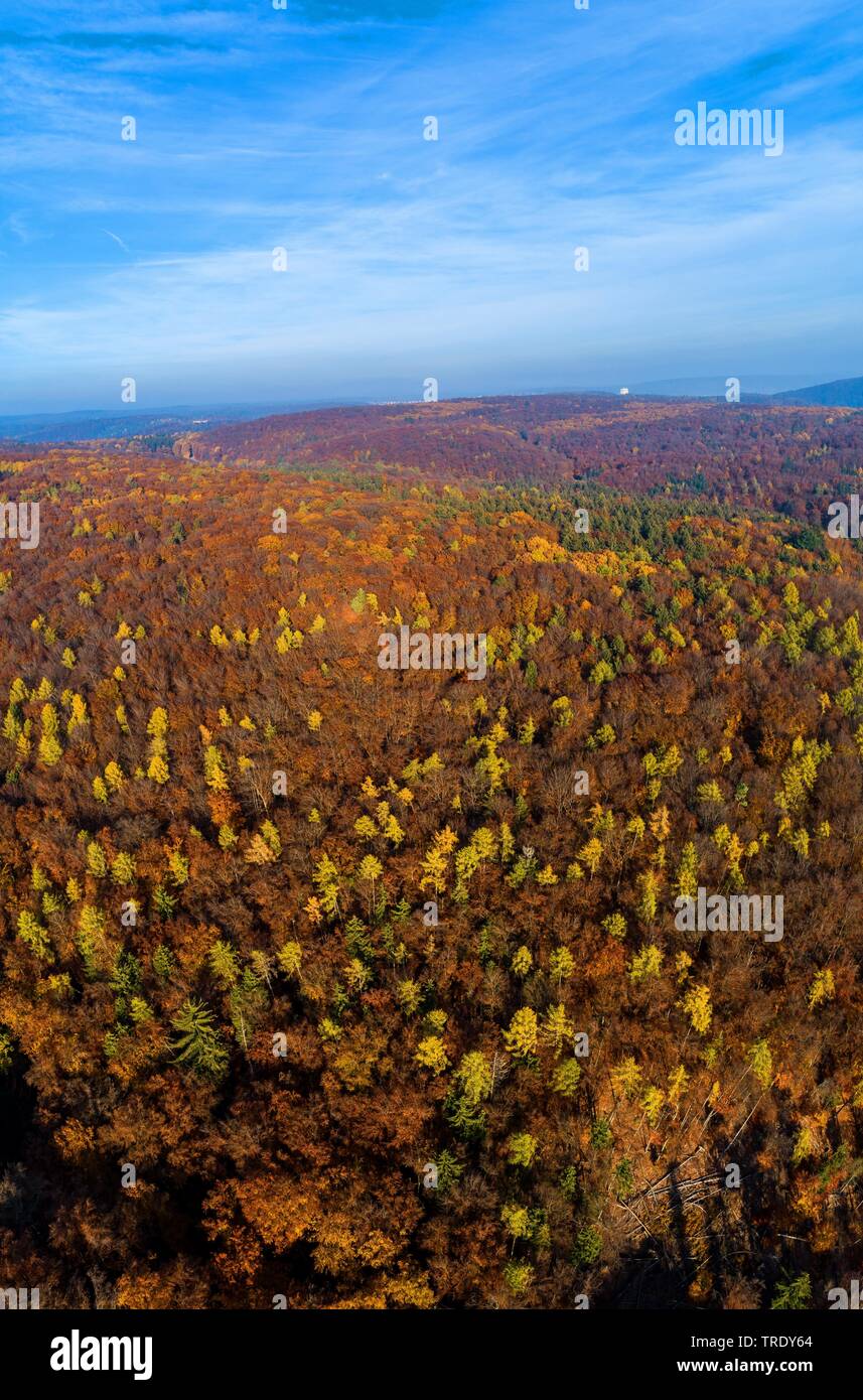 Luftaufnahme der herbstliche Wald, Naturschutzgebiet Weltenburg verengt, Deutschland, Bayern, Niederbayern, Oberbayern Stockfoto