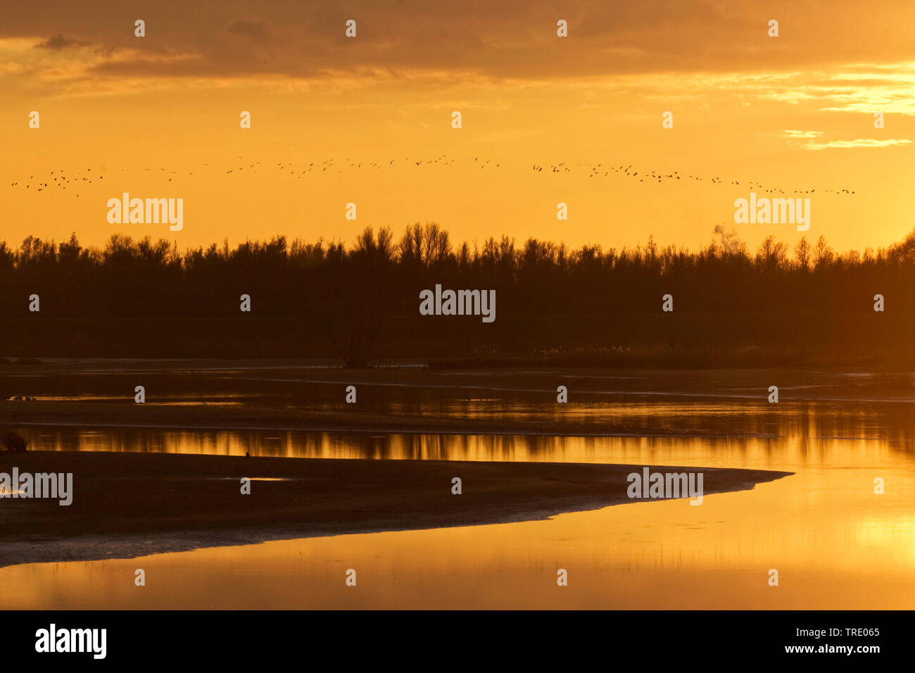 Sonnenuntergang am Beneden Spieringpolder, Niederlande, Nordbrabant, Brabantse Biesbosch Werkendam Stockfoto