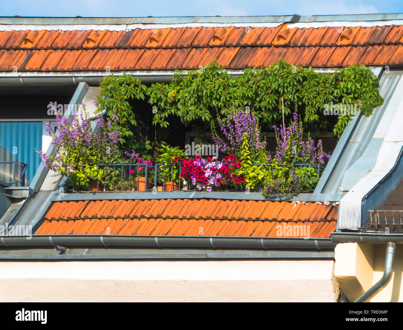 Roof Garden in Berlin, Deutschland, Berlin Stockfoto