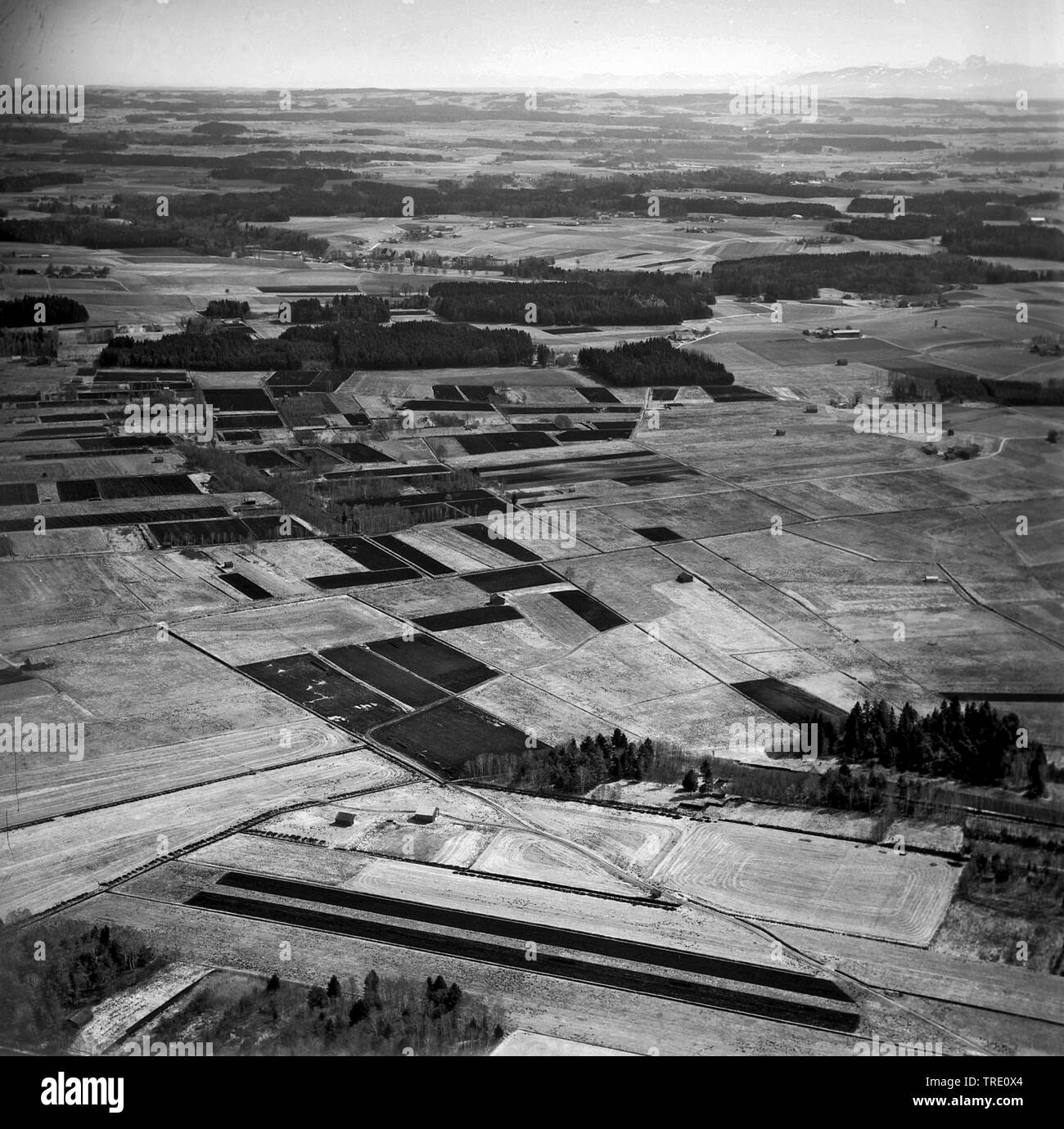 Feld Landschaft in Bayern, historische Luftaufnahme aus dem Jahr 1966, Deutschland, Bayern Stockfoto