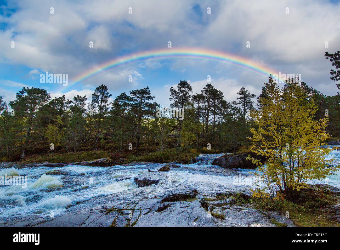 Regenbogen über Stromschnellen, Norwegen, Nordland, Sommerset Stockfoto