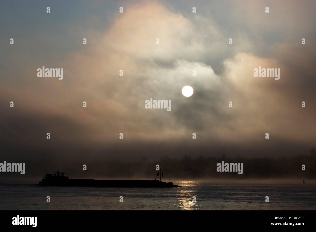 Sonnenaufgang über die Nieuwe Merwede, Niederlande, Nordbrabant, Brabantse Biesbosch Werkendam Stockfoto