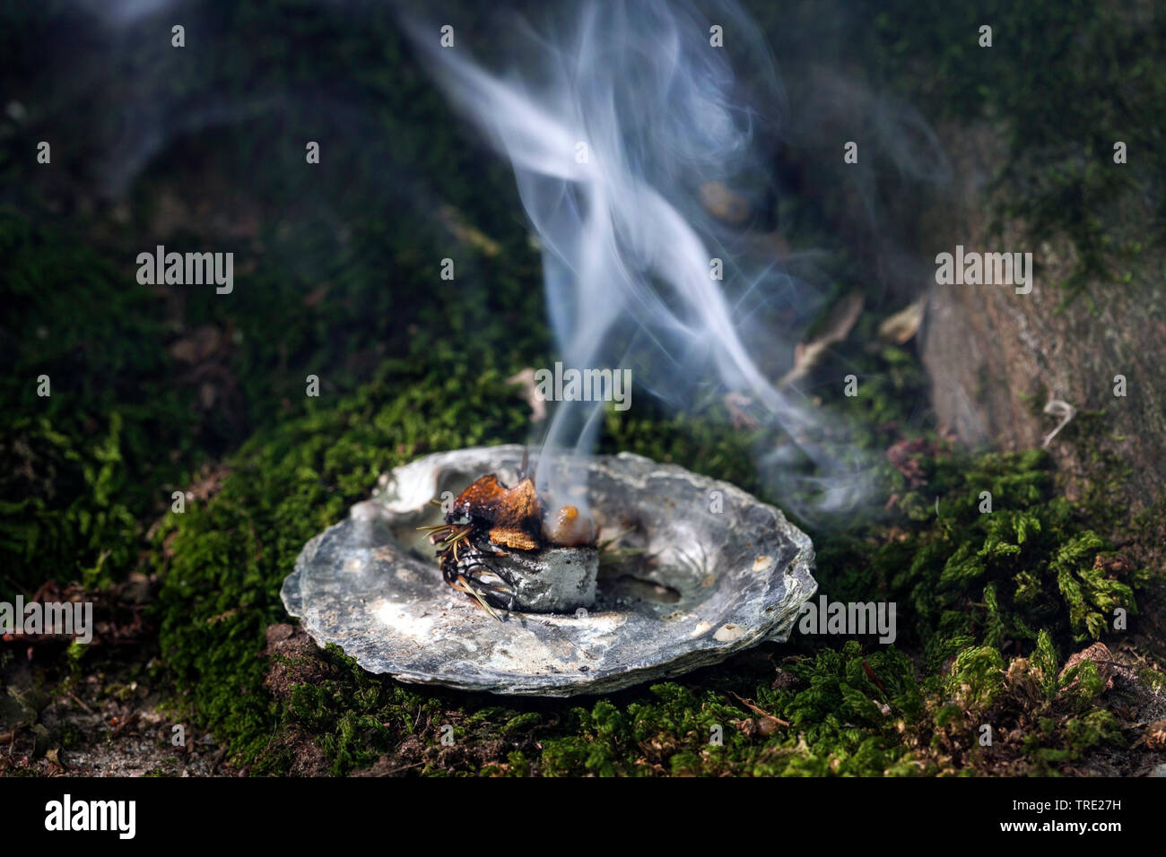 Rauchen; Rauchen mit Wacholder, Baum Gummi- und rauchend Kohle, Deutschland Stockfoto