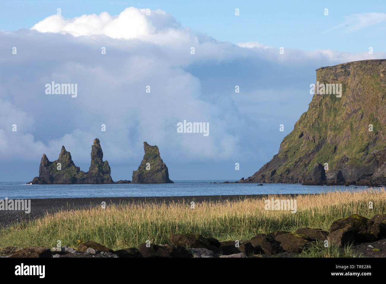 Pinnacle Reynisdrangar an der Küste von VÝk Ý M²rdal, Island, Reynisdrangar Stockfoto