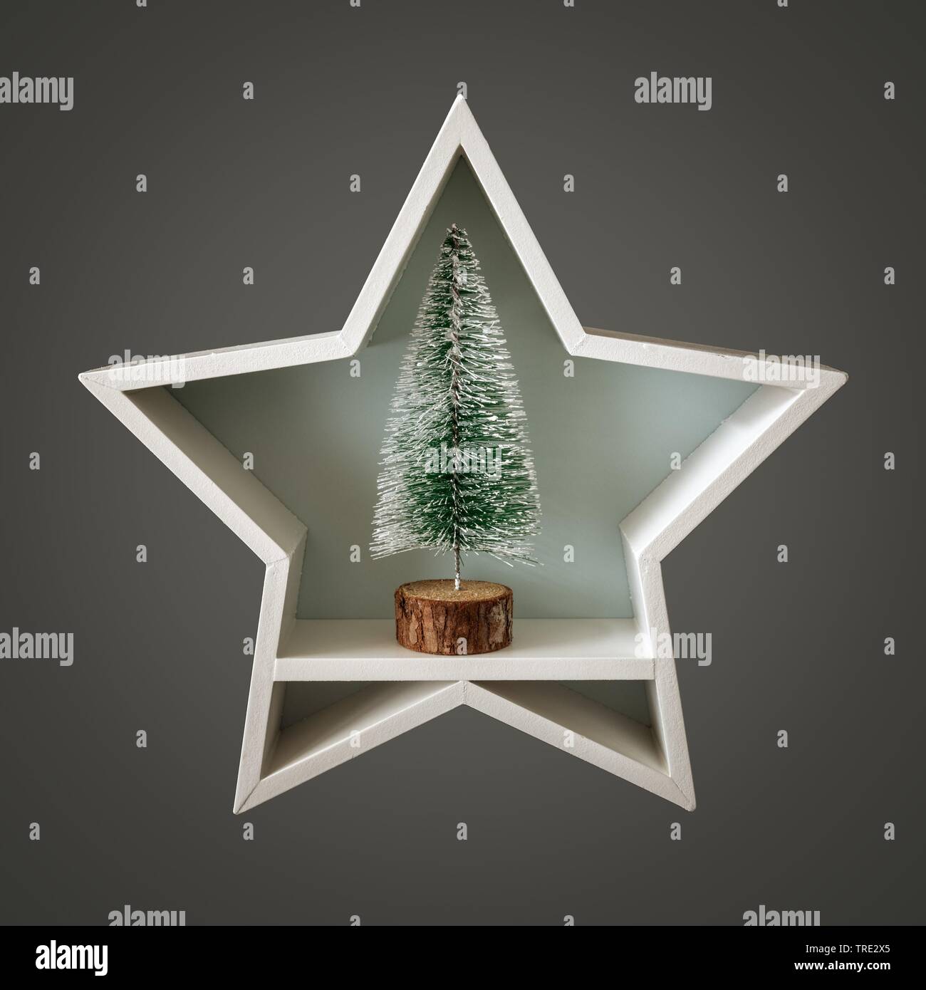 Weihnachtsdekoration White Star mit Tannenbaum innen mit Weihnachtsbaum Stockfoto