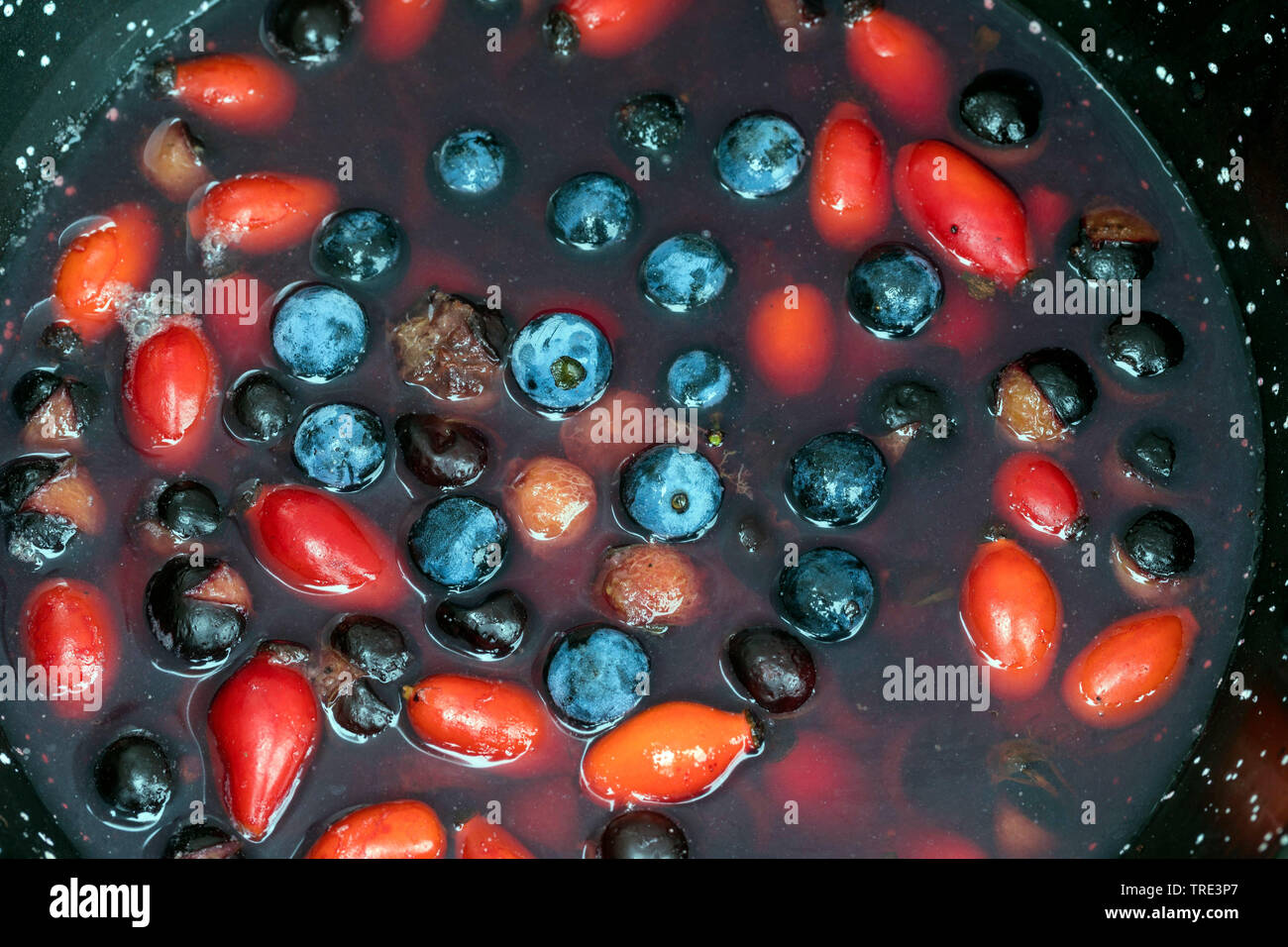Blackthorn, Schlehe (Prunus spinosa), gesammelte Früchte von blackthorn und Hagebutten in einen Durchschlag, Deutschland Stockfoto