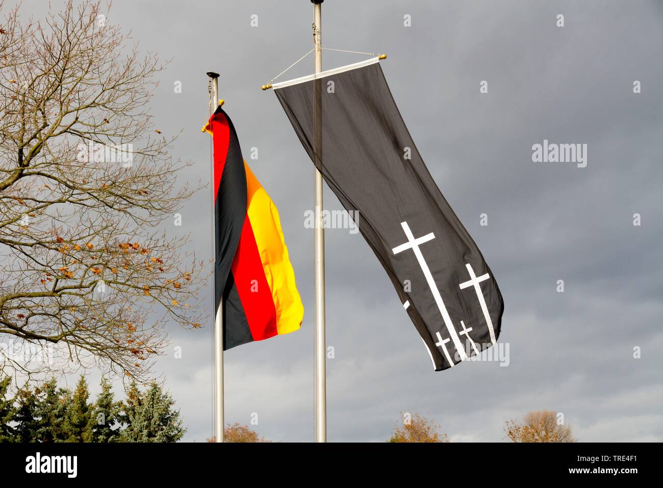 Flaggen Poppy Tag, Erinnerung Sonntag in Deutschland, Deutschland Stockfoto