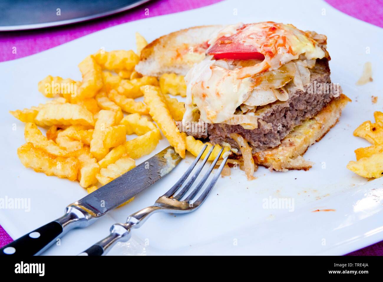 Hamburger mit Pommes frites, Bundesrepublik Deutschland Stockfoto