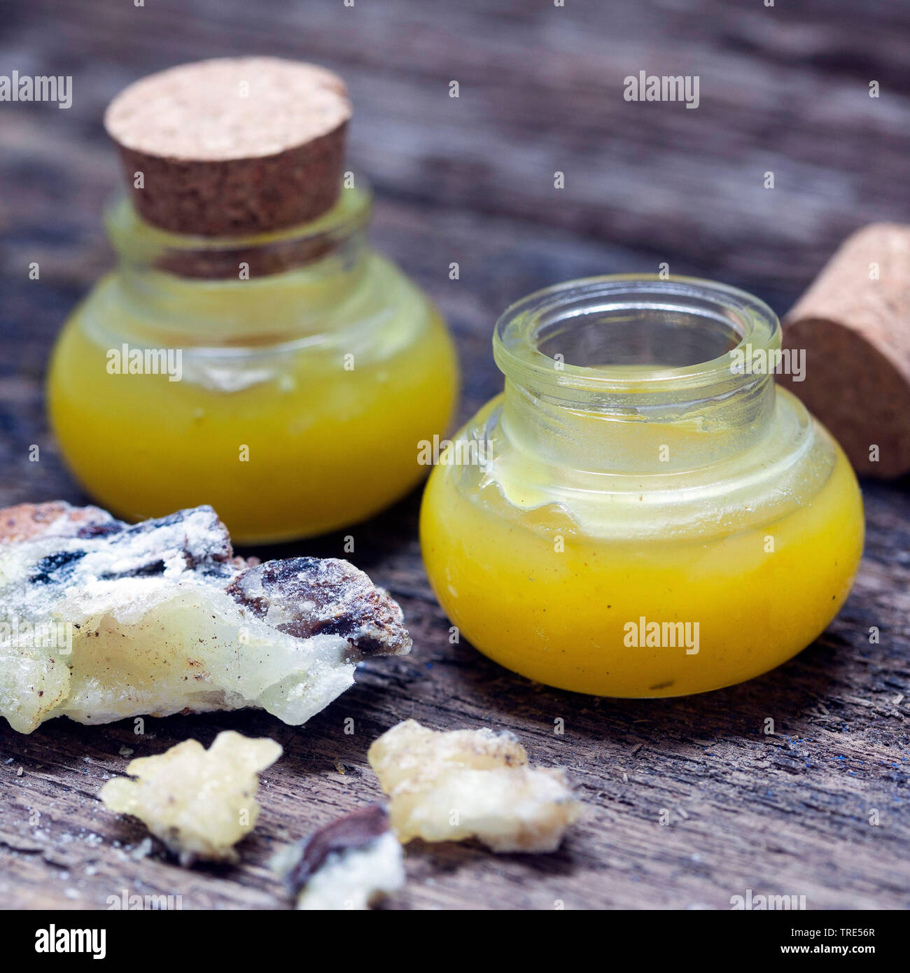 Self-made Salbe aus Resin, Olivenöl und Bienenwachs Fichte, Deutschland Stockfoto