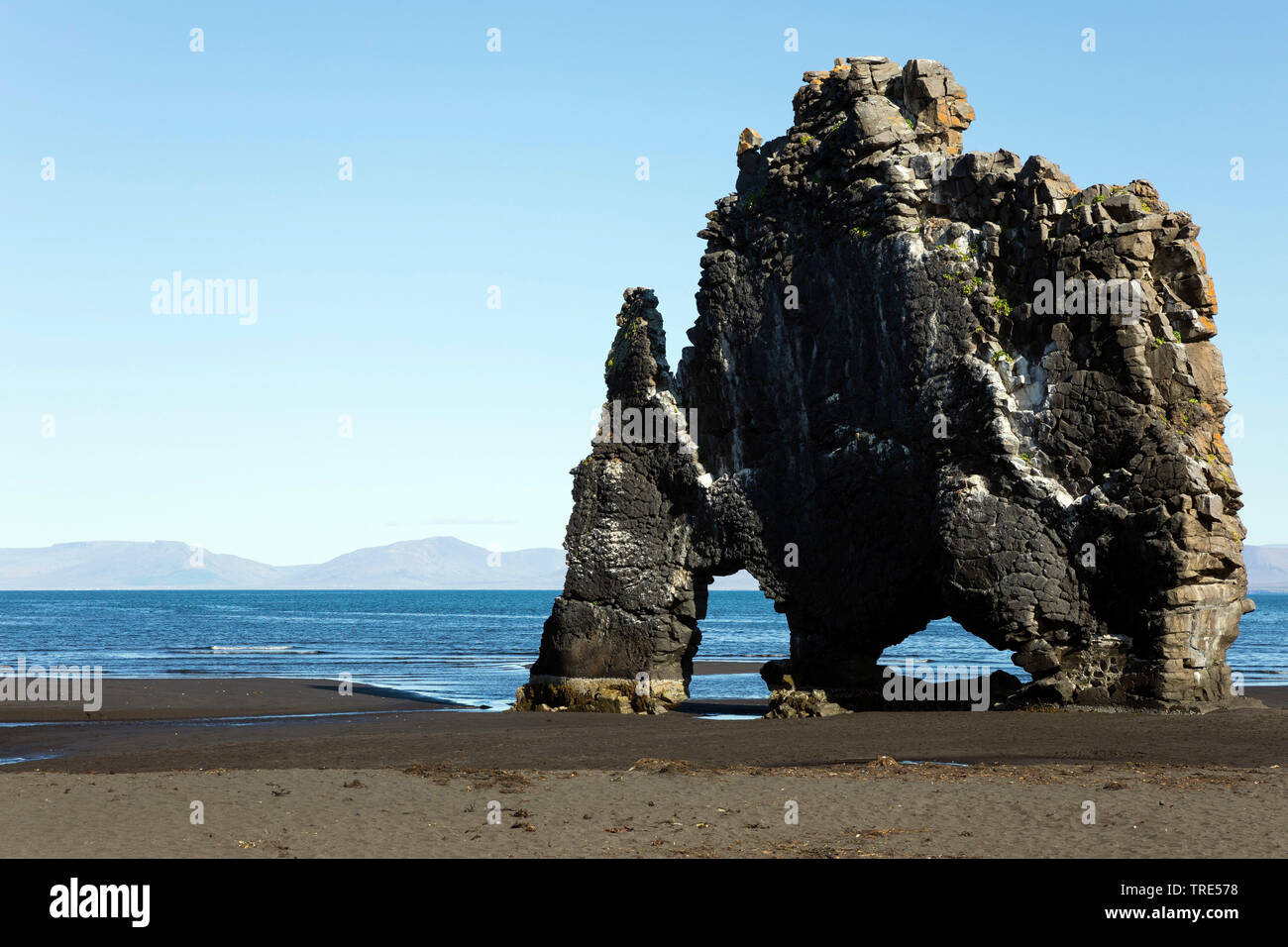 Basalt Felsen an der Ostküste der Halbinsel Vatnsnes im Nordwesten von Island, Island, Hvítserkur Stockfoto