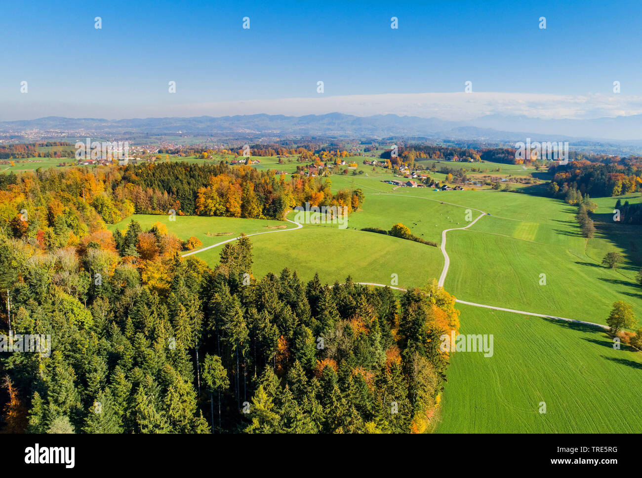 Blick aus dem Zürcher Oberland und Blick auf den Bachtel und Säntis; drone Bild, Schweiz, Zürcher Oberland Stockfoto