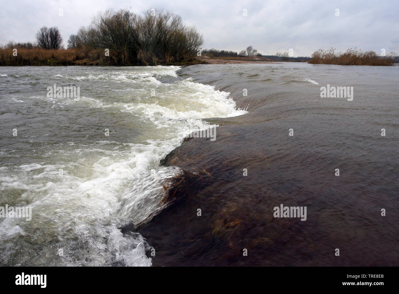 Überschwemmung Deich, Niederlande, Nationalpark De Biesbosch Stockfoto