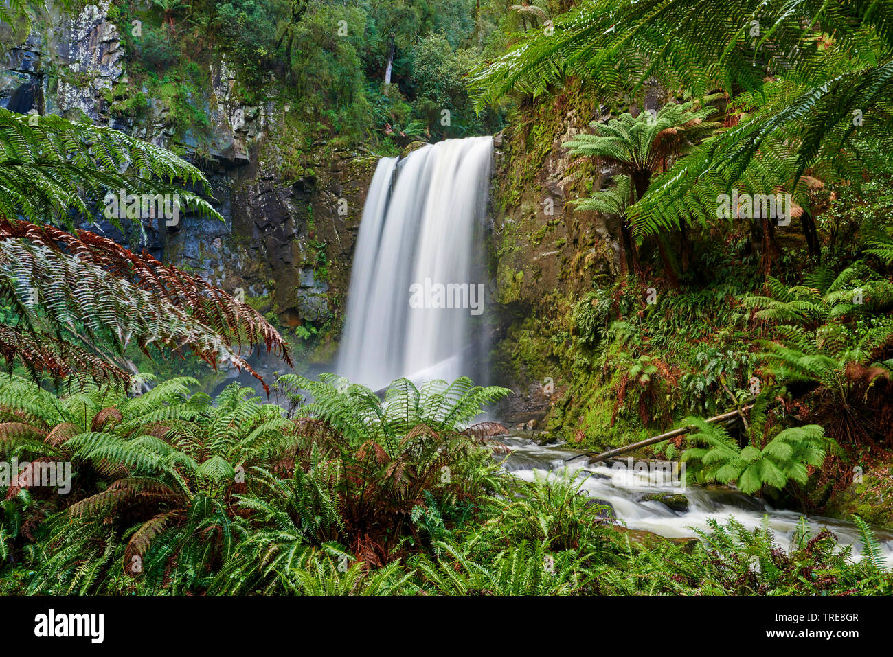 Hopetoun fällt im Regenwald des Great Otway National Park im Frühling, Australien, Victoria, Great Otway National Park Stockfoto