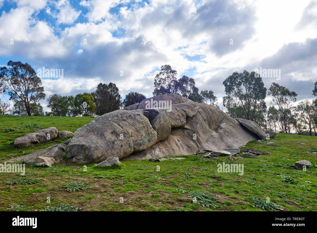 Woodlands Historic Park in der Nähe von Melbourne mit großen Felsen im Frühjahr, Australien, Victoria Stockfoto