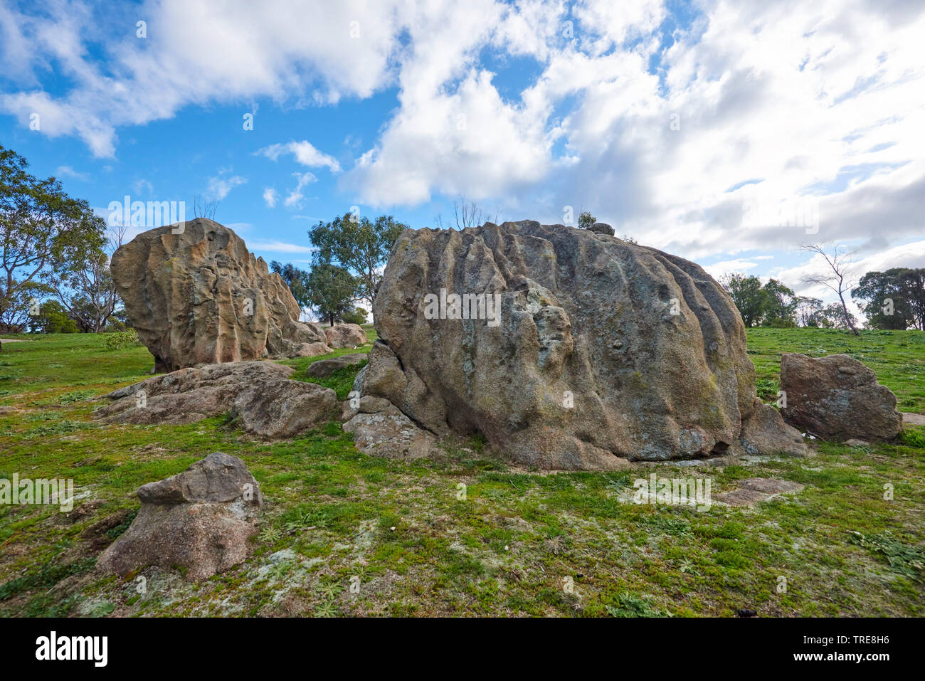 Woodlands Historic Park in der Nähe von Melbourne mit großen Felsen im Frühjahr, Australien, Victoria Stockfoto