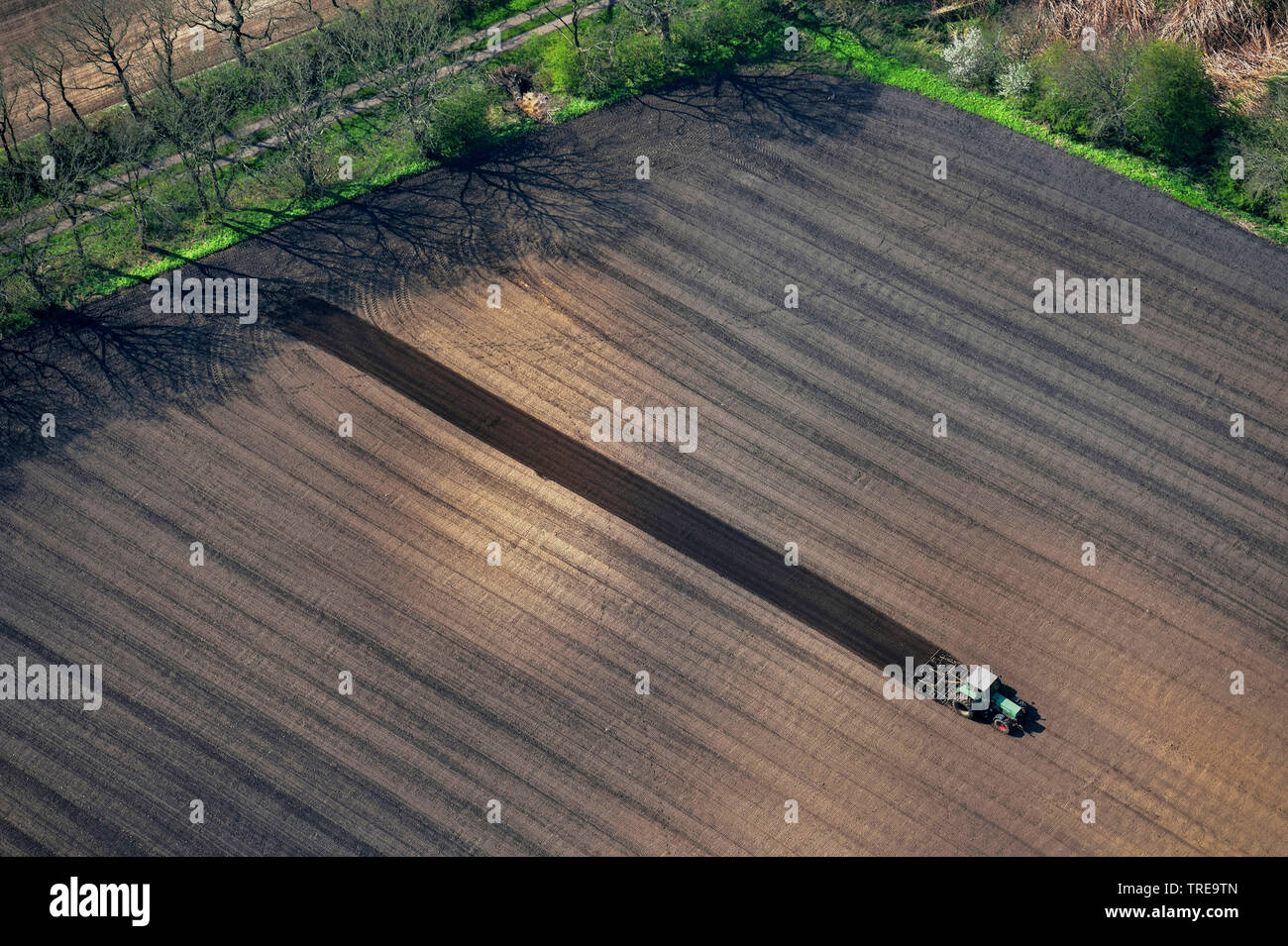 Luftaufnahme von einem Traktor Pflügen und Eggen ein Morgen im Frühjahr, Deutschland, Schleswig-Holstein, Dithmarschen Stockfoto